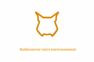 Logo 2 couleurs pour fond sombre